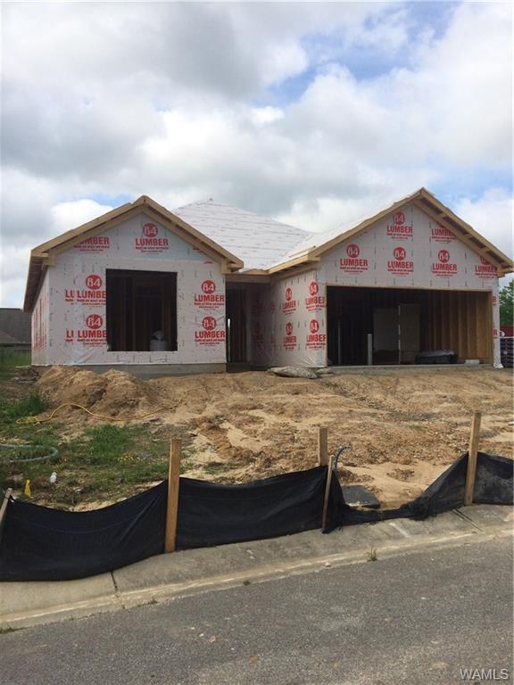 323 Prairie Field Dr - Photo 1