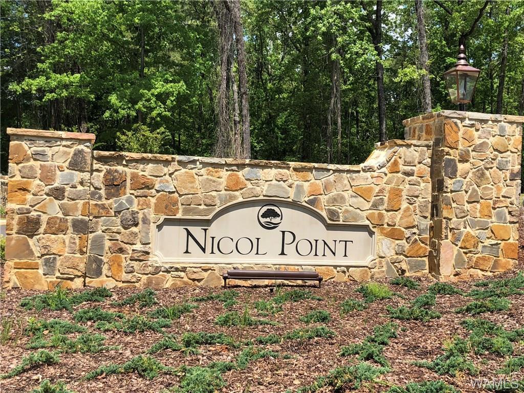 12 Nicol Point Way - Photo 1