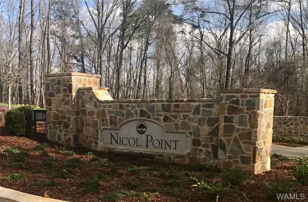 19 Nicol Point Way - Photo 1
