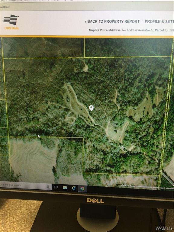 0 Coleman Watkins Rd - Photo 1