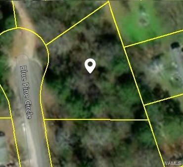 LOT 64 Blue Pine Circle - Photo 1