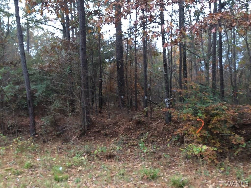 0 County Rd 208 - Photo 1