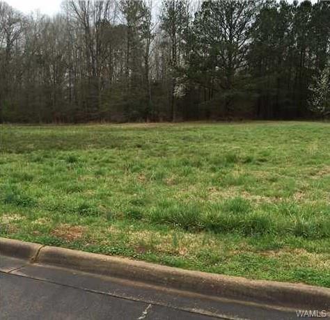 0 Manor Circle - Photo 1
