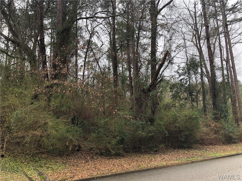 3009 Paddlecreek Lane - Photo 1