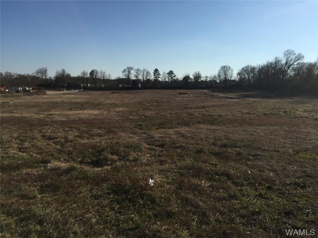 5105 Mcfarland Boulevard - Photo 1