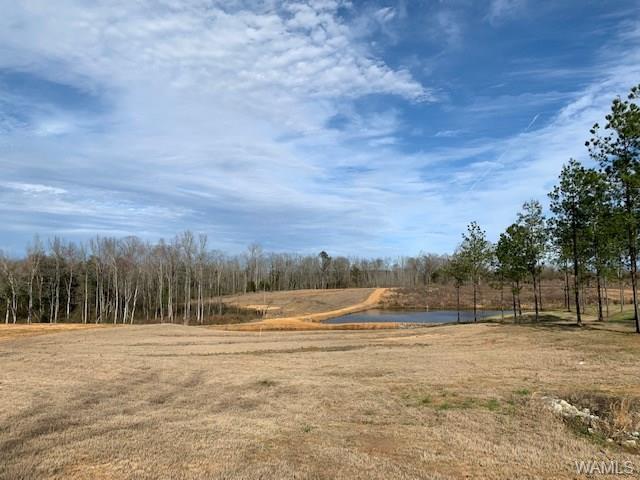 4 Hwy 159 - Photo 1