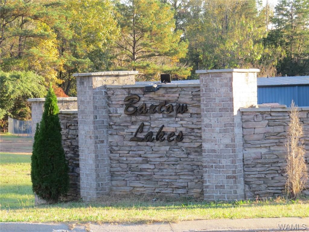 13895 Bartow Lakes Boulevard - Photo 1