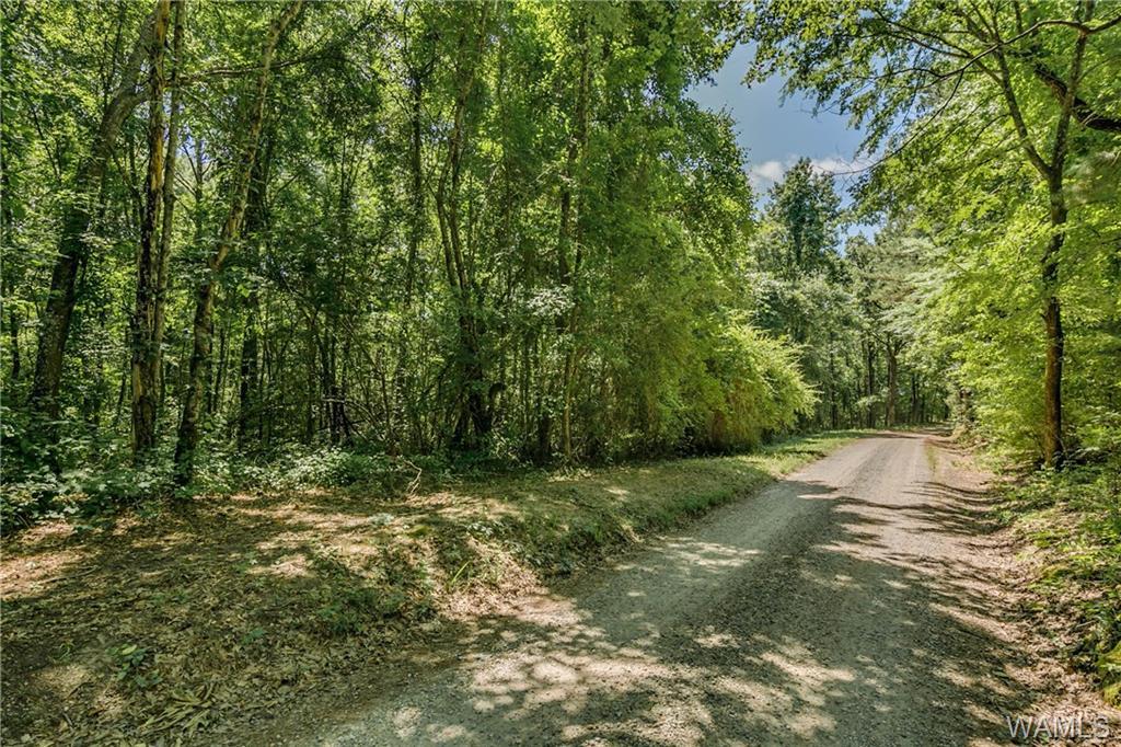 0 Trion Lane - Photo 1