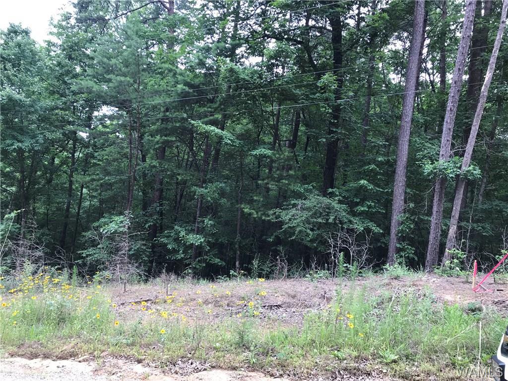 00 Lake Retreat Drive - Photo 1