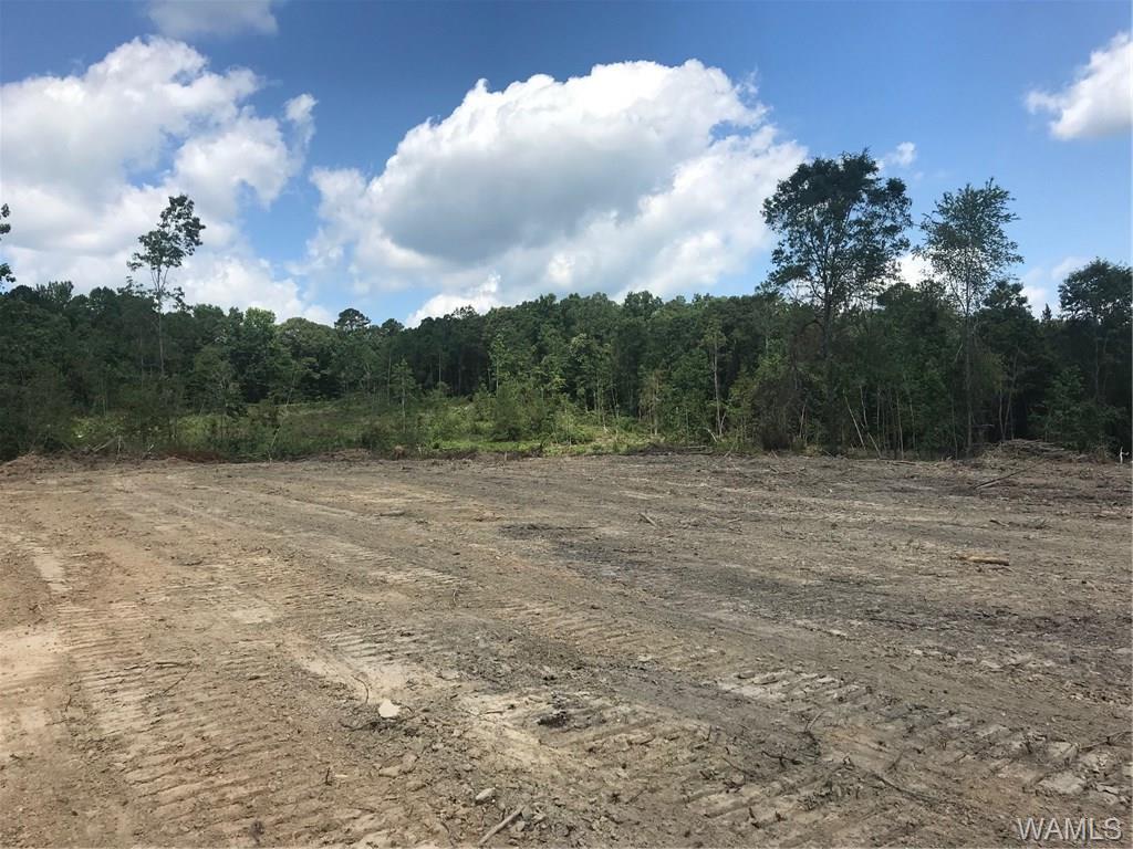 00-B Long Road - Photo 1