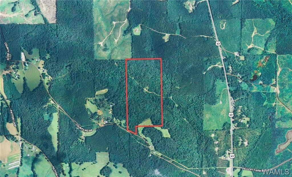 0 Holcomb Road - Photo 1
