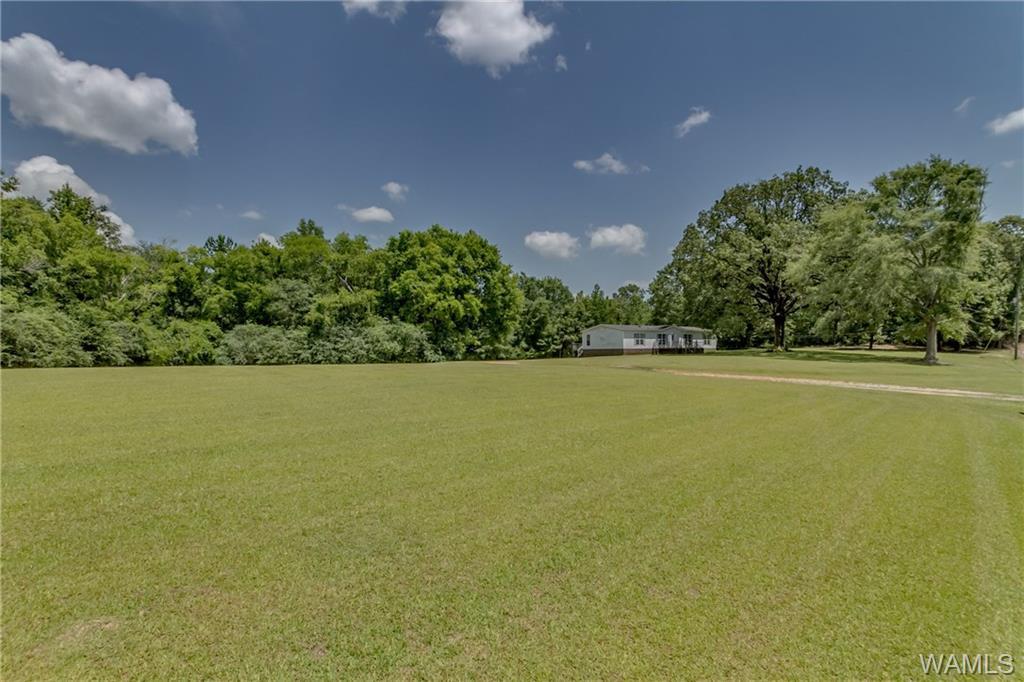 16421 Cornelius Church Road - Photo 1