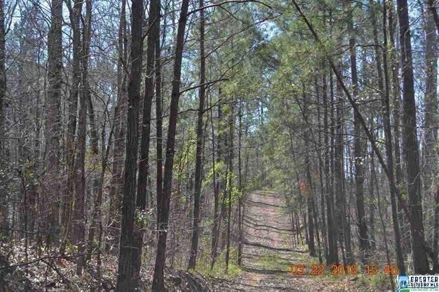 875 A Fawn Drive - Photo 1