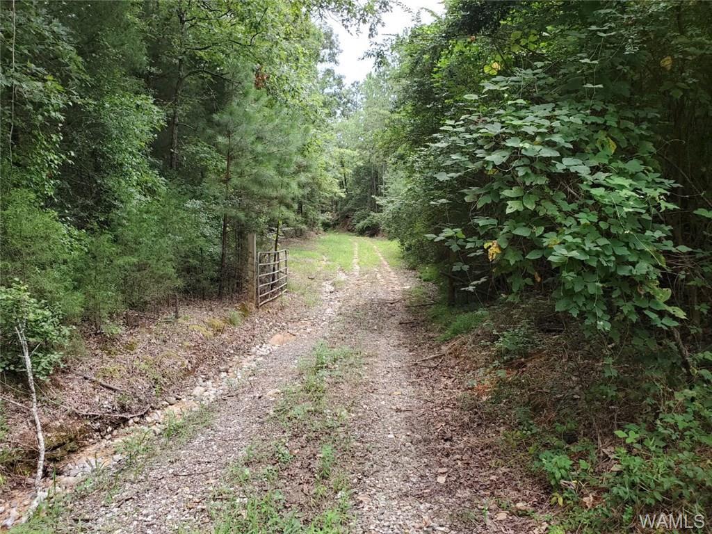 0 Phillips Mill Road - Photo 1