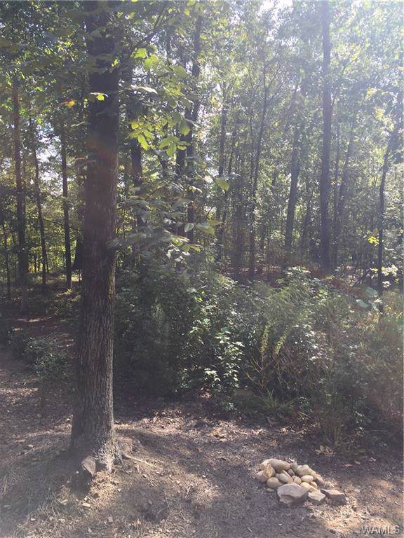 2770 Beacon Hill Parkway - Photo 1