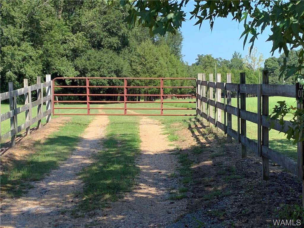 2614 County Road 156 - Photo 1