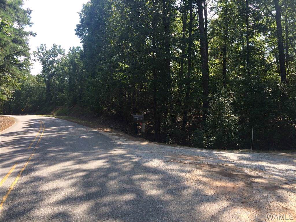0000 Lake Lurleen Road - Photo 1