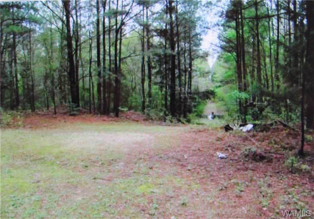 00 County Rd 3 - Photo 1 00 County Rd 3 - Photo 1