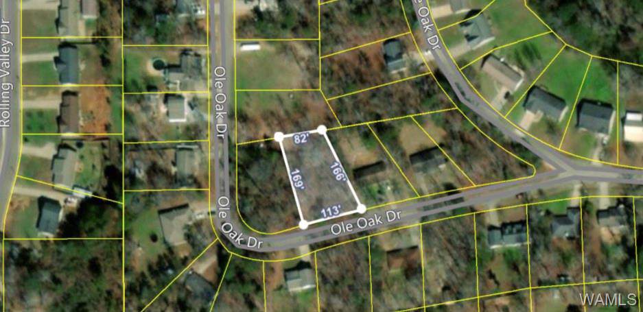 14618 Ole Oak Drive - Photo 1