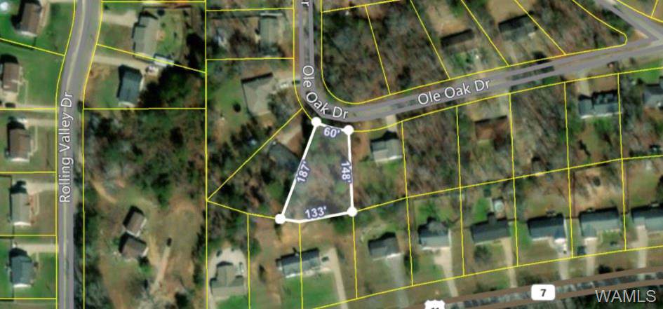 14615 Ole Oak Drive - Photo 1