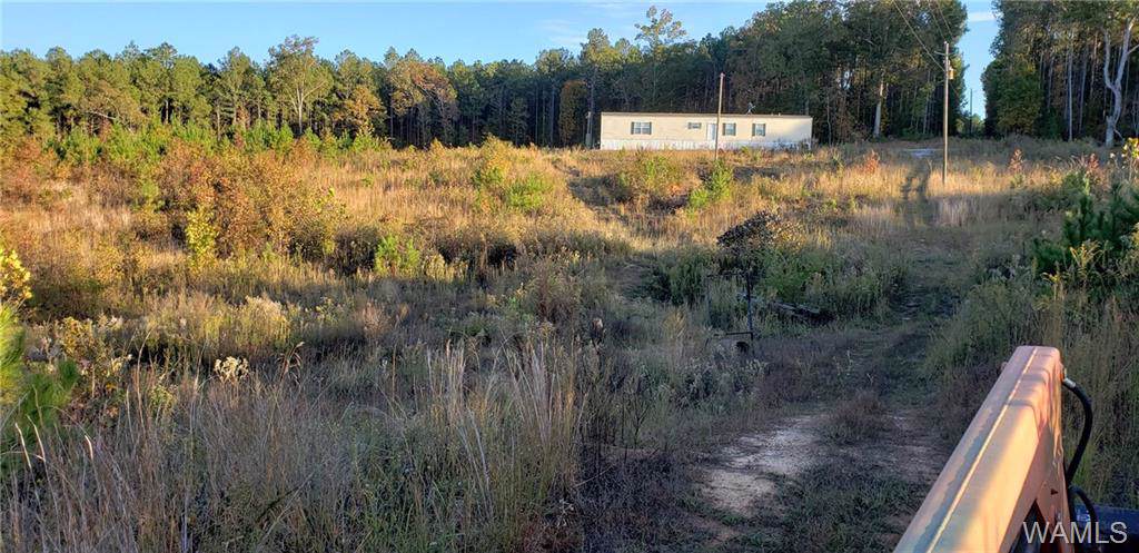 2310 Golfers Trail - Photo 1