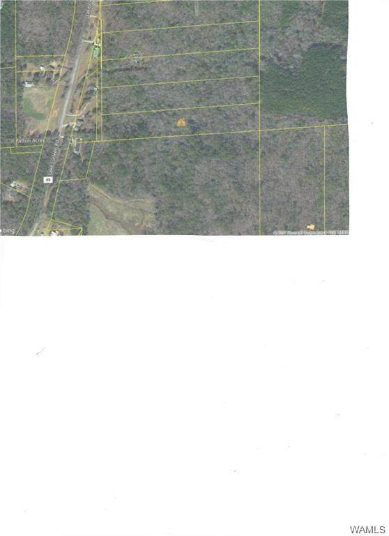 00 Lake Lurleen Road - Photo 1