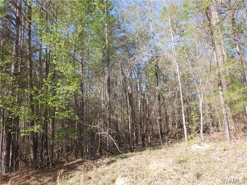 0000 Gabriel Creek Road - Photo 1