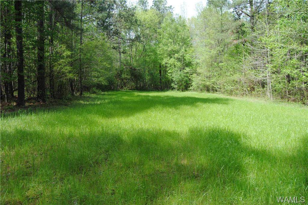 00 Colburn Rd - Photo 1