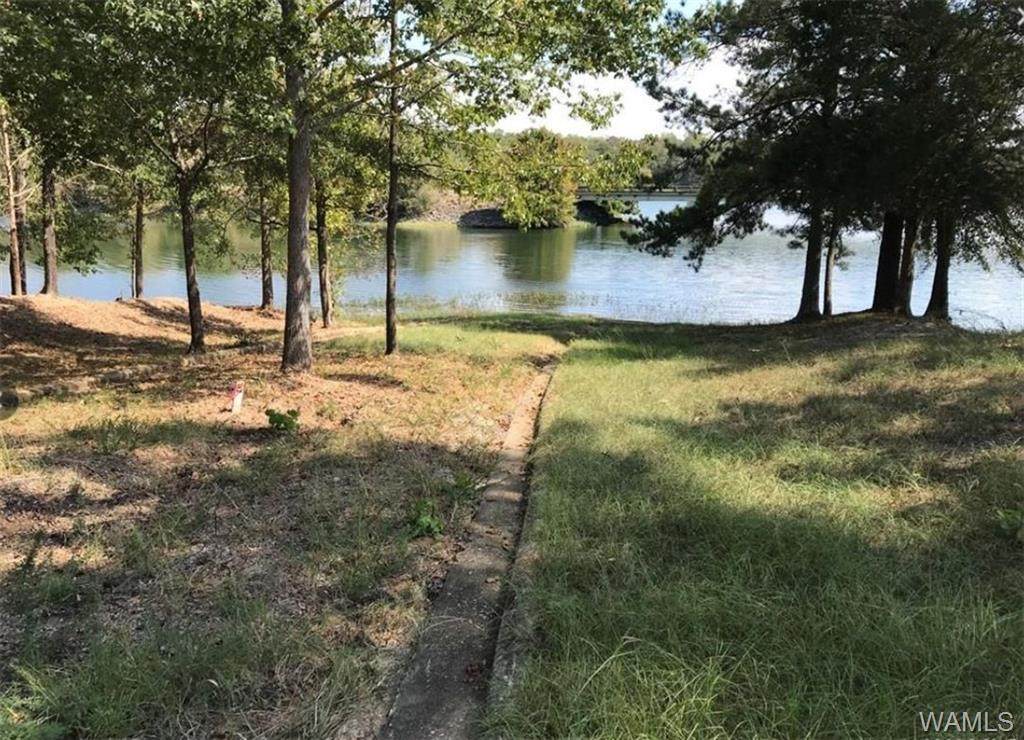 0 Searcy Road - Photo 1 0 Searcy Road - Photo 1