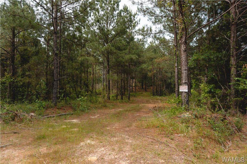 8645 Highway 159 - Photo 1