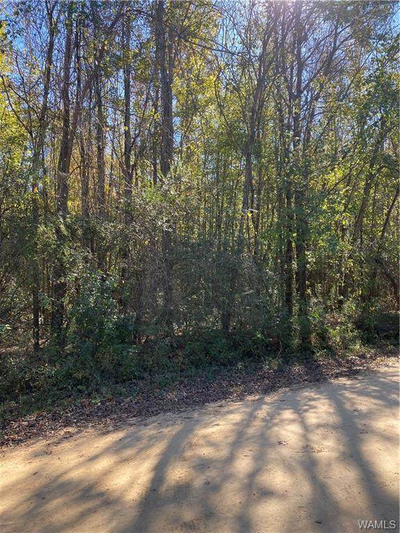 0 Riverview Beach Road - Photo 1