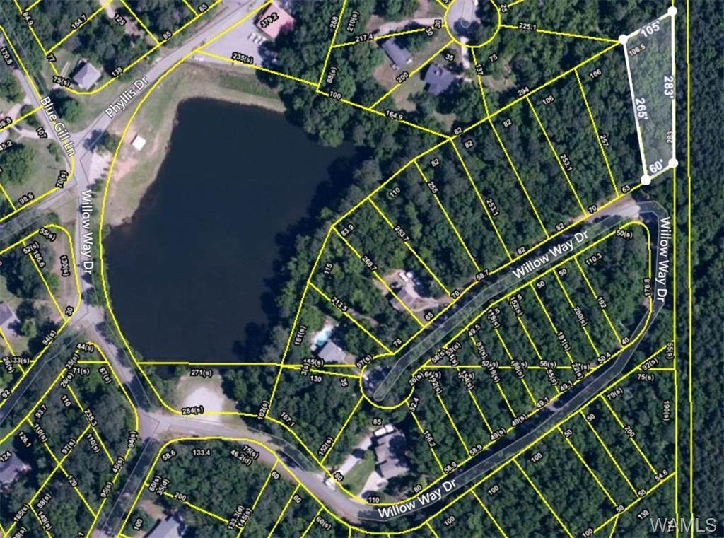 000 Willow Way Drive - Photo 1