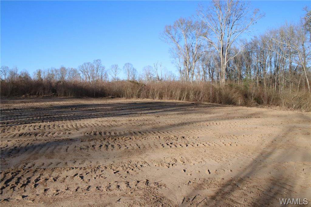 0 County Road 28 - Photo 1