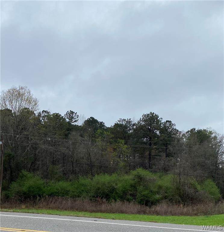 00 Highway 5 - Photo 1