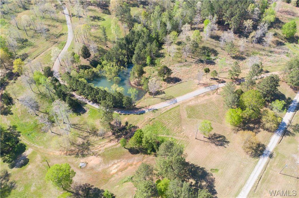 0 Hurricane Valley Rd - Photo 1
