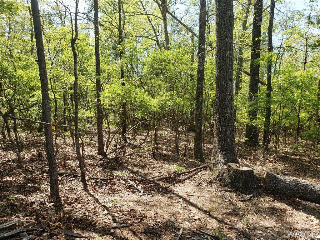 12872 Lake Lurleen Road - Photo 1
