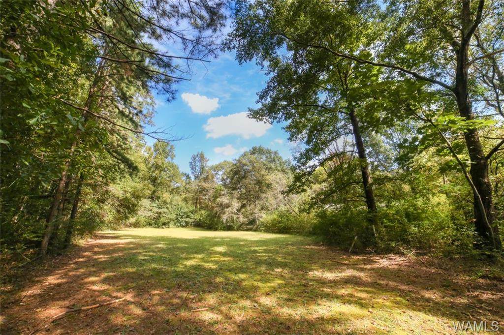 4476 Bell Hill Road - Photo 1