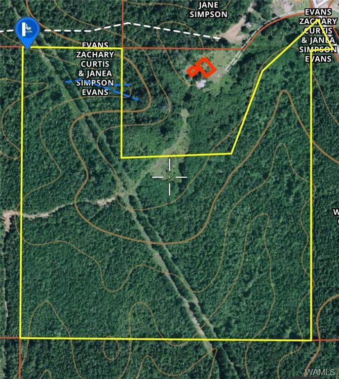 000 Co. Rd 57 - Photo 1
