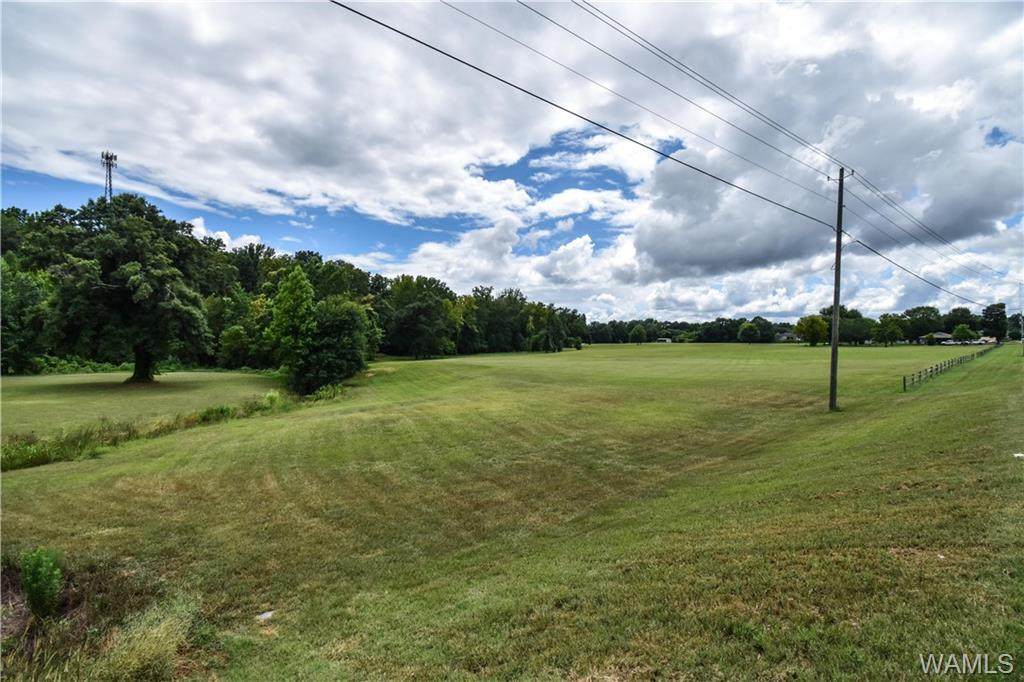 11771-2 Highway 69 - Photo 1