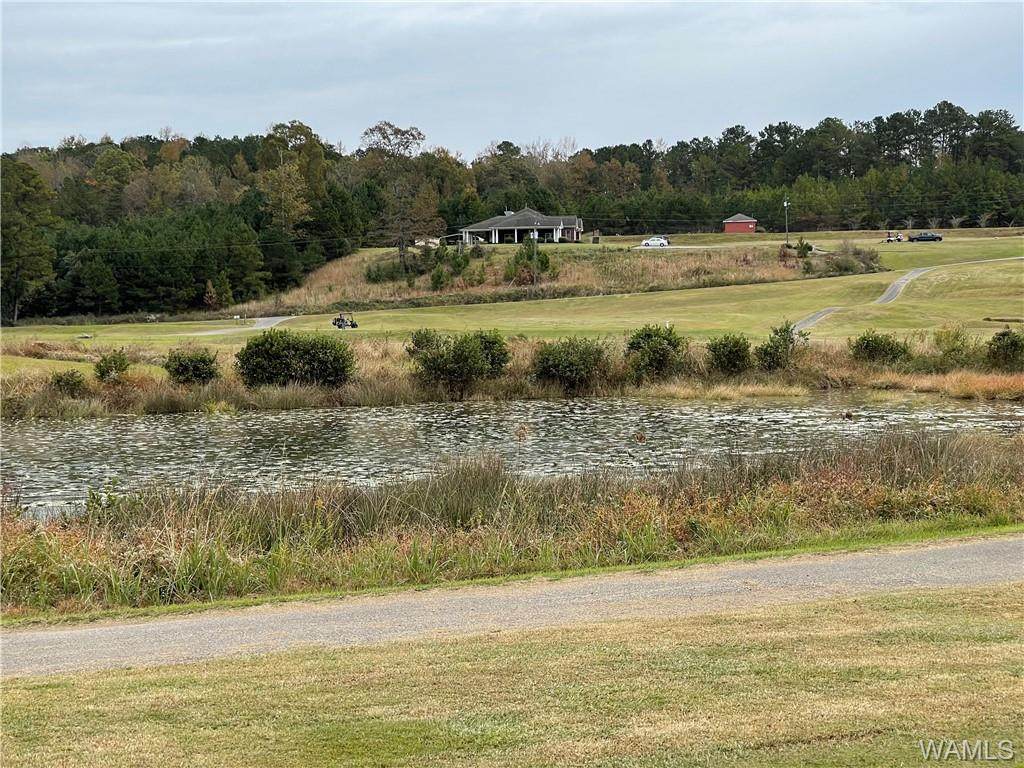 13000 Old Cove Road - Photo 1