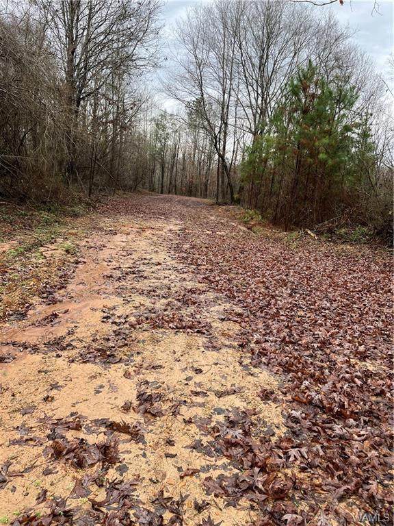 https://bt-photos.global.ssl.fastly.net/tuscaloosa/orig_boomver_1_147629-2.jpg