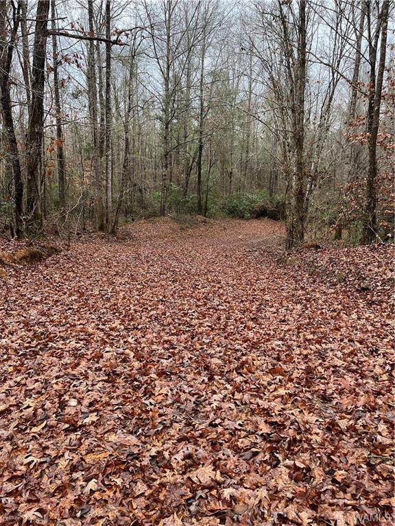 https://bt-photos.global.ssl.fastly.net/tuscaloosa/orig_boomver_1_147629-2.jpg