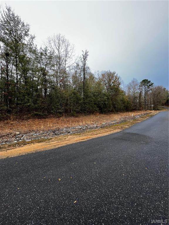 40 Autumn Ridge - Photo 1