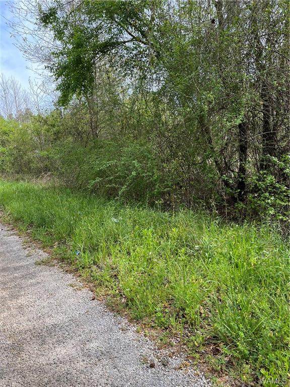 000 Hickory Lane - Photo 1