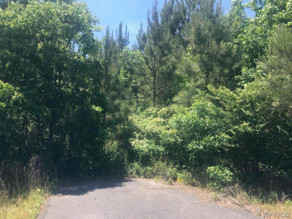 0 Co Road 30 - Photo 1