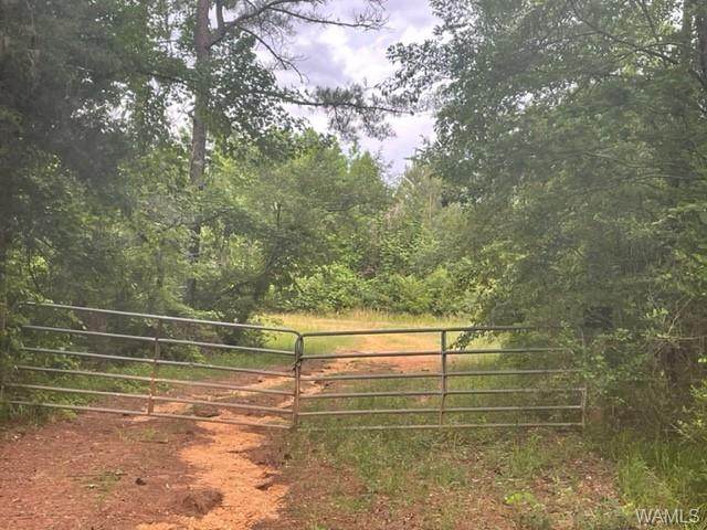 709 Willie Martin Road - Photo 1