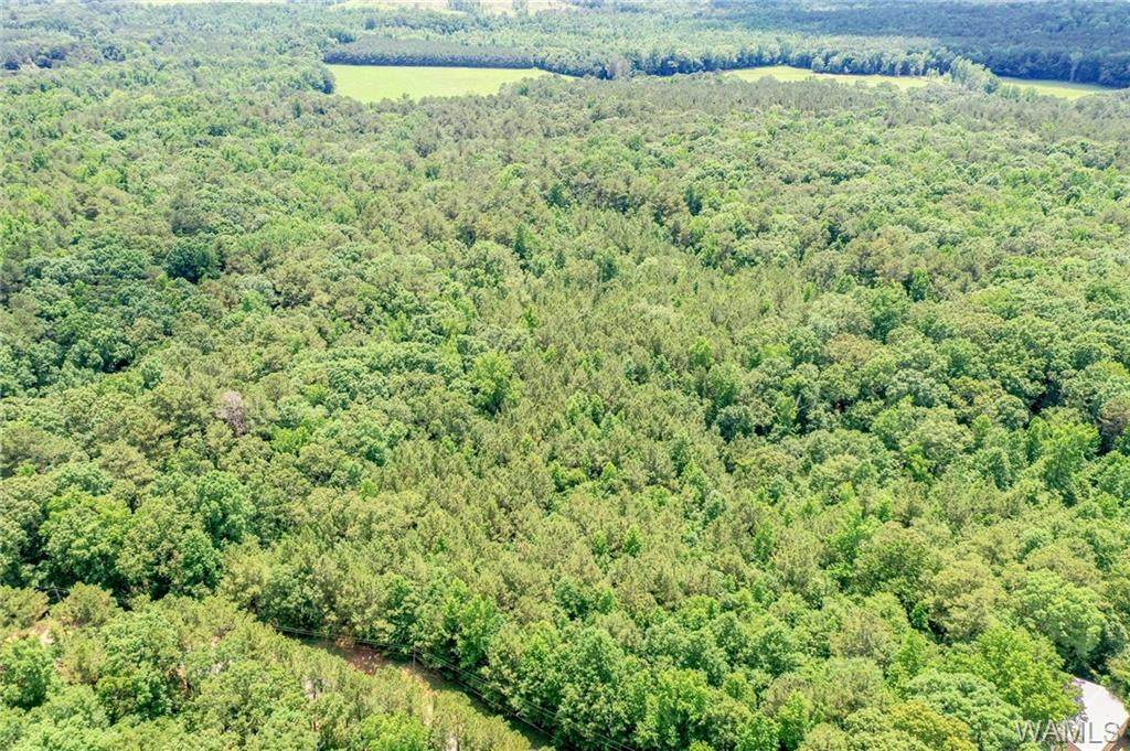 0 Dunns Creek Rd - Photo 1