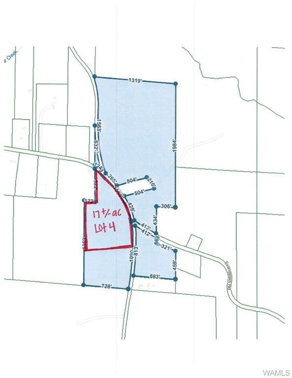 Lot 4 Evanstown Road - Photo 1