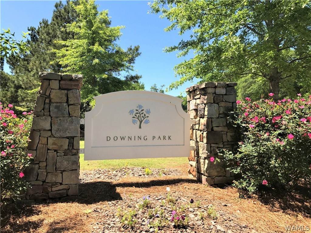 23057 Downing Park Circle - Photo 1