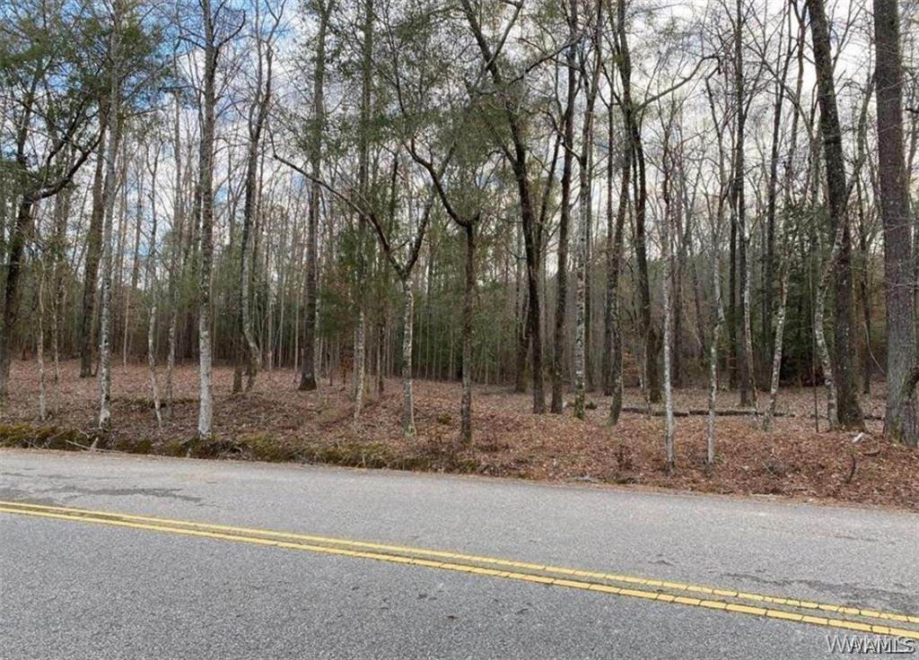 8 Holly Springs Road - Photo 1